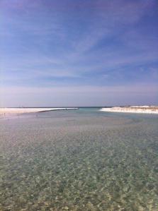 Grayton Beach Pass